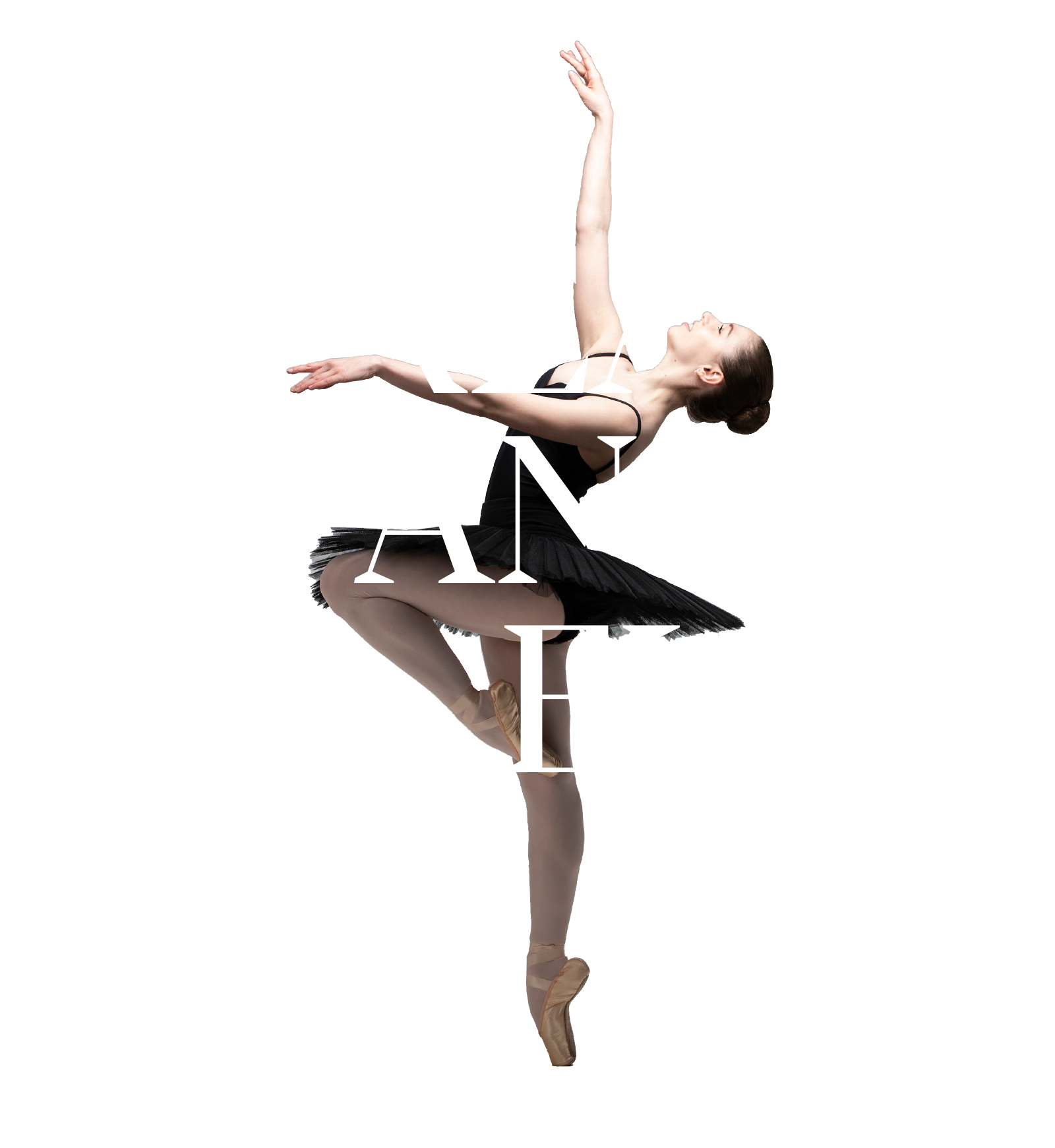 dream dance develop transparent