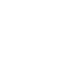 Chevron logo white